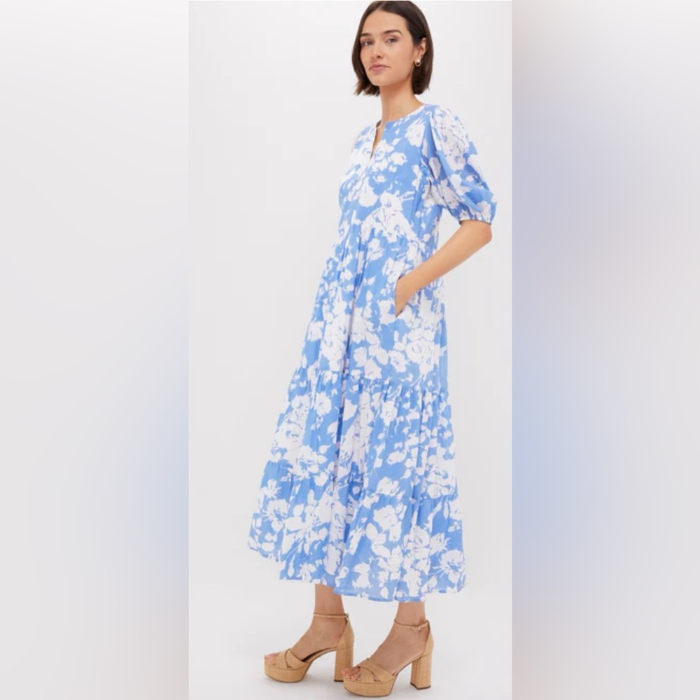 Tuckernuck Blue and White Floral Maxi Dress
